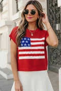 USA Flag Graphic Short Sleeve Sweater Top